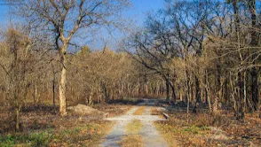 Mahananda Wildlife Sanctuary